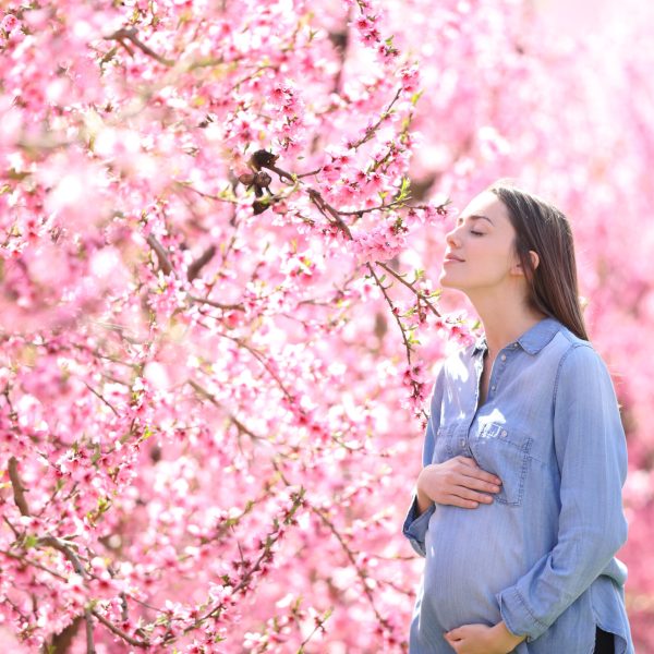 Happy pregnant woman in a pink field smelling flowers